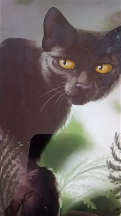 Qui détestait Étoile de Feu à son arrivée, mais a appris à l'accepter dans le clan ?