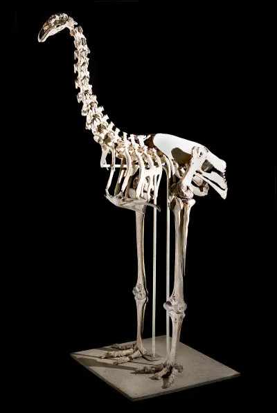 Treizième bienvenu.