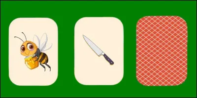 Quelle est la bonne carte ?