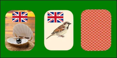 Quelle est la bonne carte ?