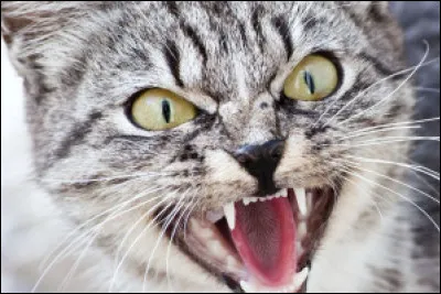 Un peu plus compliqué cette fois. Qui était celui de Vif-Argent ?