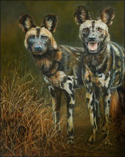 Quel est cet animal ?