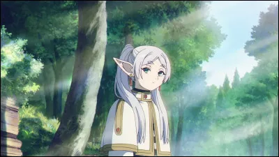 Qu'est-ce que tu préfères dans Frieren ?