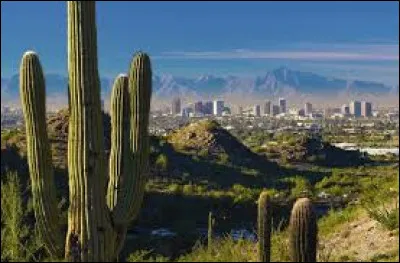 Quel indicatif téléphonique devez-vous utiliser pour téléphoner dans cette ville ?