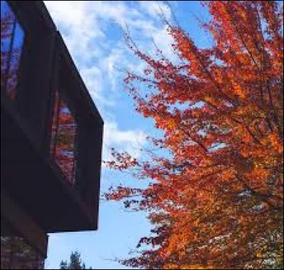 En 2016, combien d'étudiants internationaux trouvait-on approximativement dans cette académie de musique ?