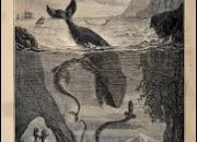 Quiz Avez-vous lu ''Vingt Mille Lieues sous les mers'' ?