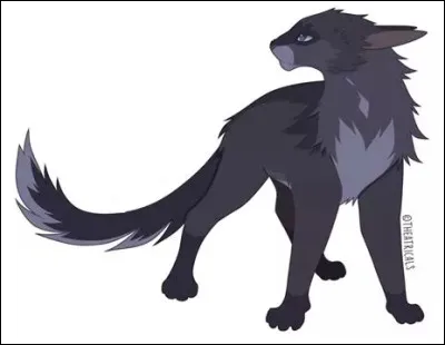 LGDC : Quel est le nom anglais de Plume de Jais ? (Traduit en français.)