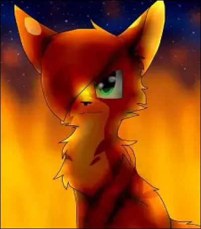 LGDC : Quel est le nom de chaton d'Étoile de Feu ?