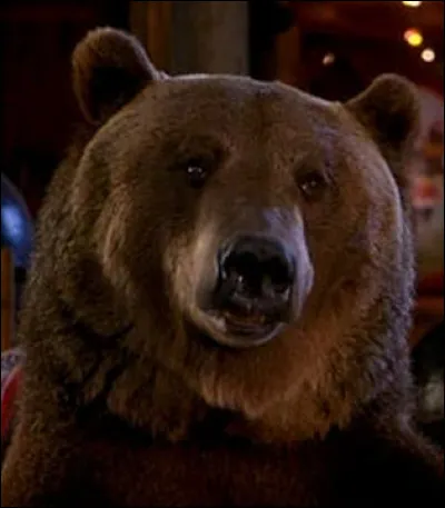 Dans quel film des années 2000 pouvez-vous voir l'ours Archie discuter avec un docteur fantasque ?