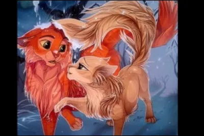 Qui sont les chattes amoureuses de Flocon de Neige ?