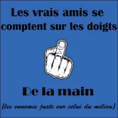 Selon un vieil adage, quel est le meilleur ami de l'homme ?