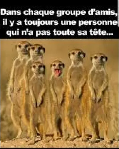 En 1885, quel écrivain a publié le roman ''Bel-Ami'' ?