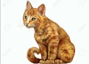 Test Ton nom LGDC