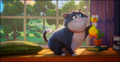 Est-ce que tu voudrais vivre dans une for&ecirc;t, au bord d'un lac, en montagne ou dans un pr&eacute; ?