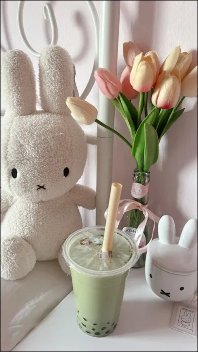 Choisis une peluche :