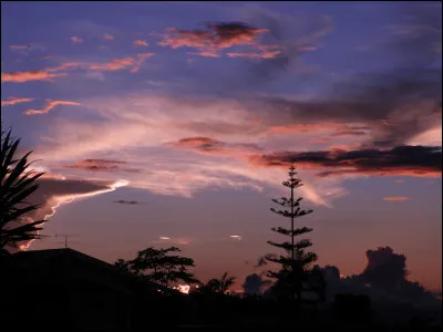 Choisis une citation :