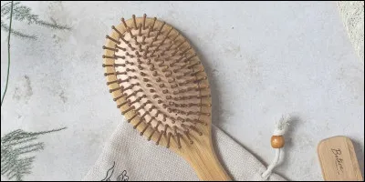 Lorsqu'on "prend une brosse", on...