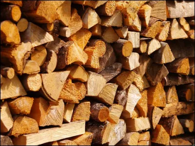 Quelle est la signification de "tirer une bûche" ?