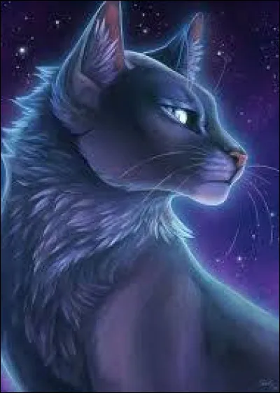 Quel est le nom de chaton d'Étoile Bleue ?