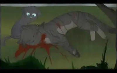 Comment est-elle morte ?