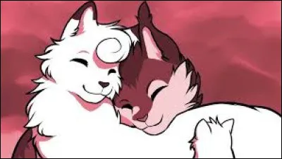 Combien de chatons a-t-elle ?