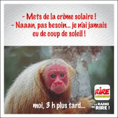 Je suis convaincu que la chanson ''Il est mort le soleil'' est un titre interprété par Michelle Torr en 1967.