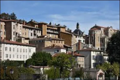 Trévoux est une ville de 7 000 habitants qui se trouve dans ...