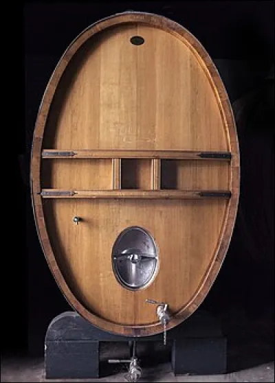 Le petit Roger est le héros de...