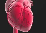 Test Es-tu amoureuse ?