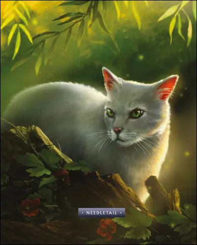 Quel lien ont Poil d'Écureuil et Feuille de Lune ?