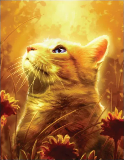 Quel chat mâle a été le premier à s'occuper de ses chatons ?