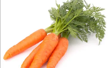 Quiz Legumes
