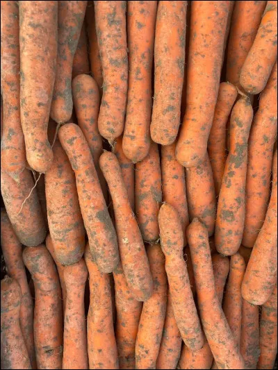 Quel est ce légume ?