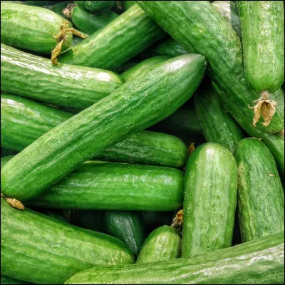 Quel est ce légume ?