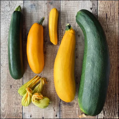 Quel est ce légume ?