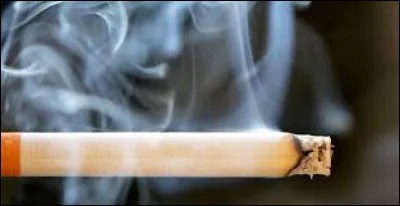 À qui doit-on ces paroles : "L'amour c'est comme une cigarette/ Ça brûle et ça monte à la tête/ Quand on ne peut plus s'en passer/ Tout ça s'envole en fumée" ?