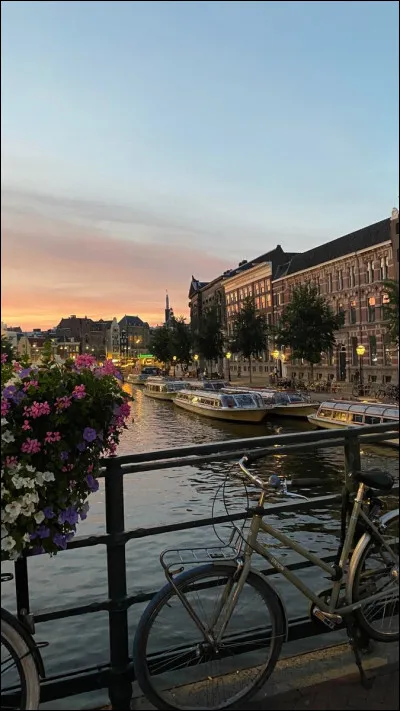 Si tu dois choisir ton environnement quotidien, lequel te correspond le mieux ?