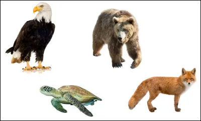 De ces quatre animaux, lequel est ton préféré ?