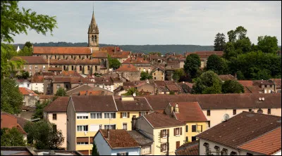 Bourbonne-les-Bains est une petite ville de 2 000 habitants qui se trouve dans ...