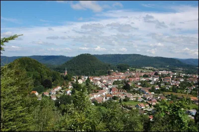 Bruyères est une petite ville de 3 000 habitants qui se trouve dans ...