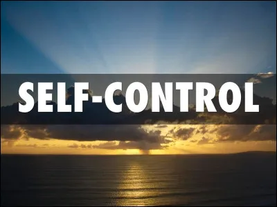 À quelle chanteuse doit-on le titre "Self Control" ?