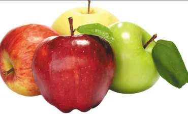 Quiz Fruits