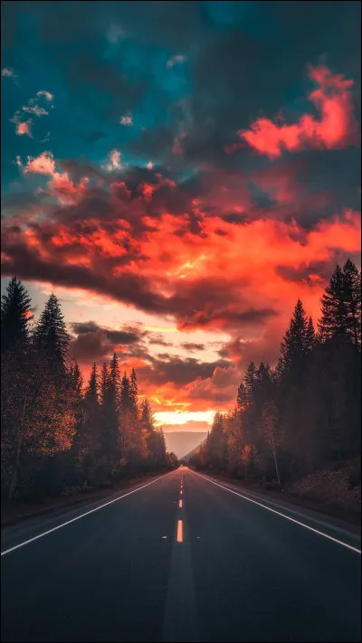 Mes membres sont : Manon, Lara, Sophia, Daniela, Yoonchae et Megan. Je suis...