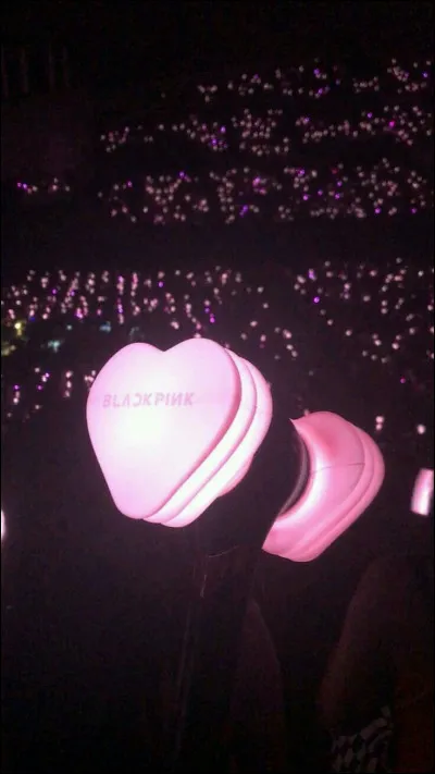 À qui appartient ce lightstick ?