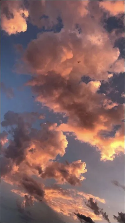  Dont Know What to Do  est une chanson de :