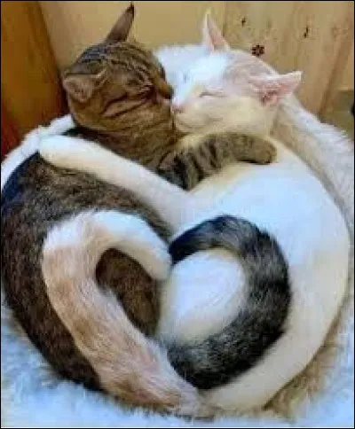 As-tu des enfants ou des amoureux ?