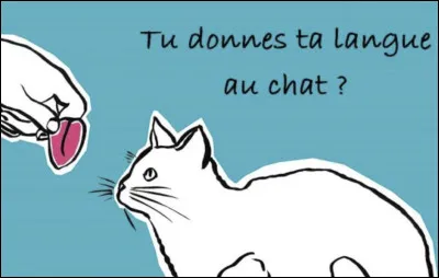 Tout d'abord, que signifie l'expression "donner sa langue au chat" ?