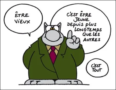Quel écrivain belge publie depuis 1985 "Le Chat", une bande dessinée humoristique ?