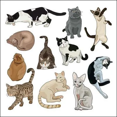 Que signifie le verbe anglais "to chat" ?