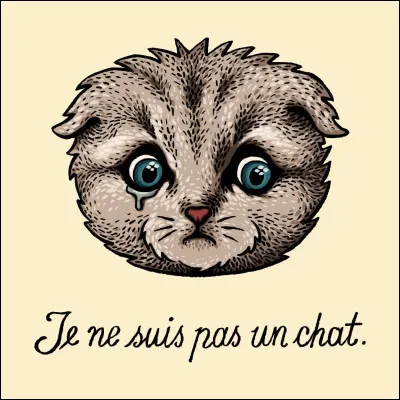 Lorsqu'il n'y a personne à un endroit, on peut dire...